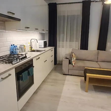 Apartament Mickiewicza Pruszcz Gdanski Exterior photo
